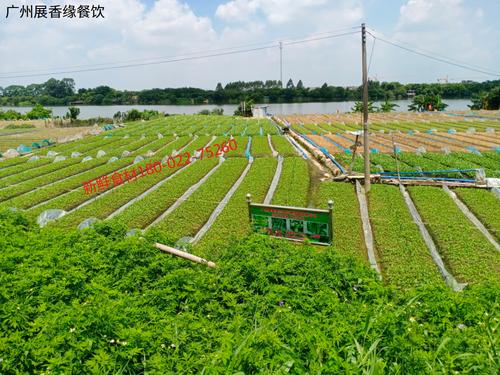 广州工厂食堂承包方案,助力花都区五金厂管控食材采购费用!